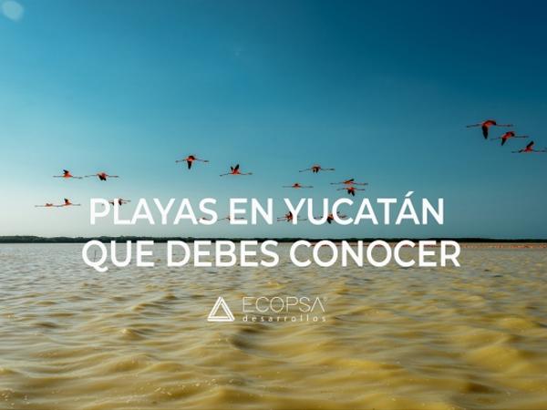 Playas en Yucatán que debes de conocer - ECOPSA Desarrollos