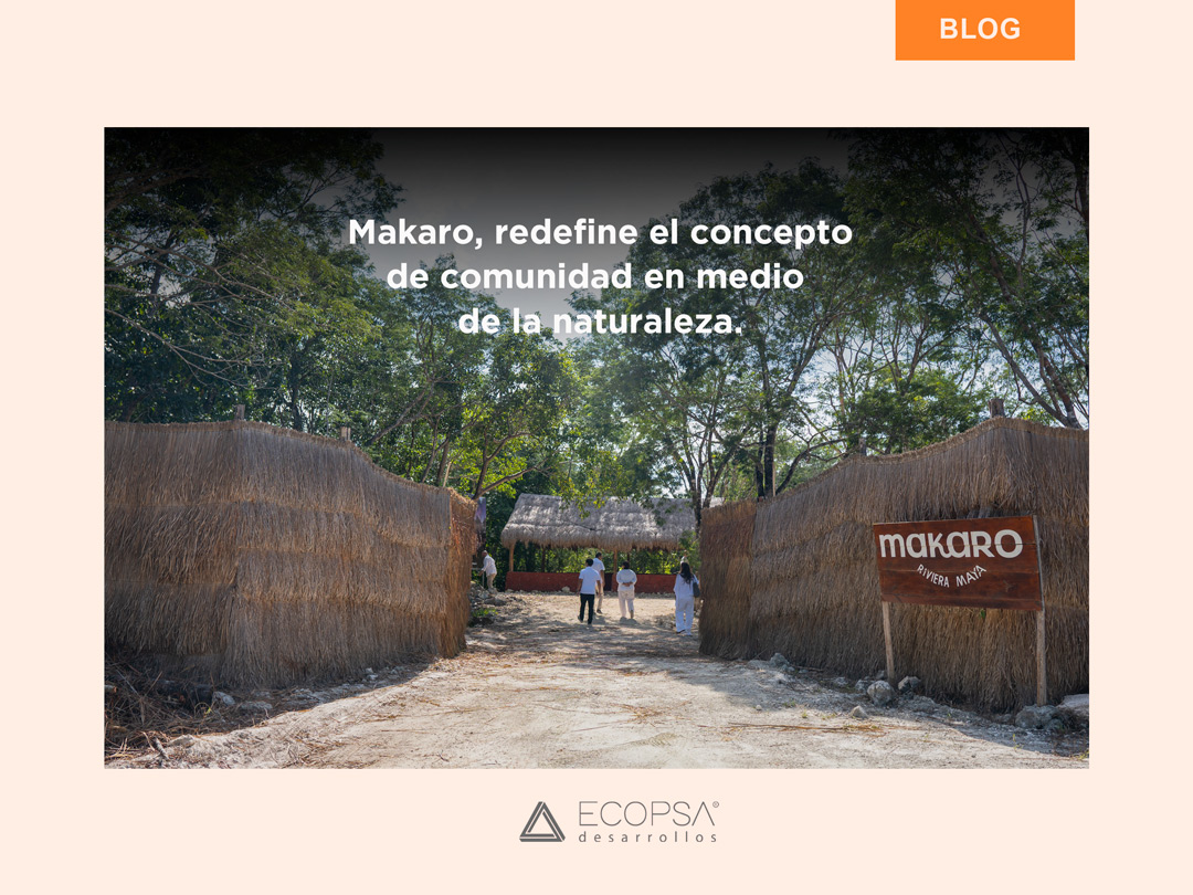 Makaro redefine el concepto de comunidad en medio de la naturaleza.